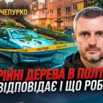Аварійні дерева в Полтаві загрожують безпеці мешканців
